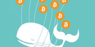 Three Reasons why Bitcoin Whales cannot Manipulate the Markets