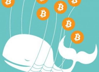 Three Reasons why Bitcoin Whales cannot Manipulate the Markets