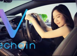 byd vechain