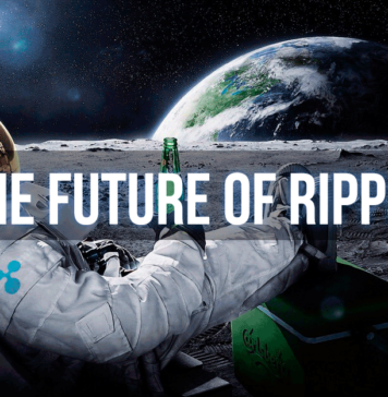 The Future of Ripple XRP. Why its Price Has Grown Rapidly