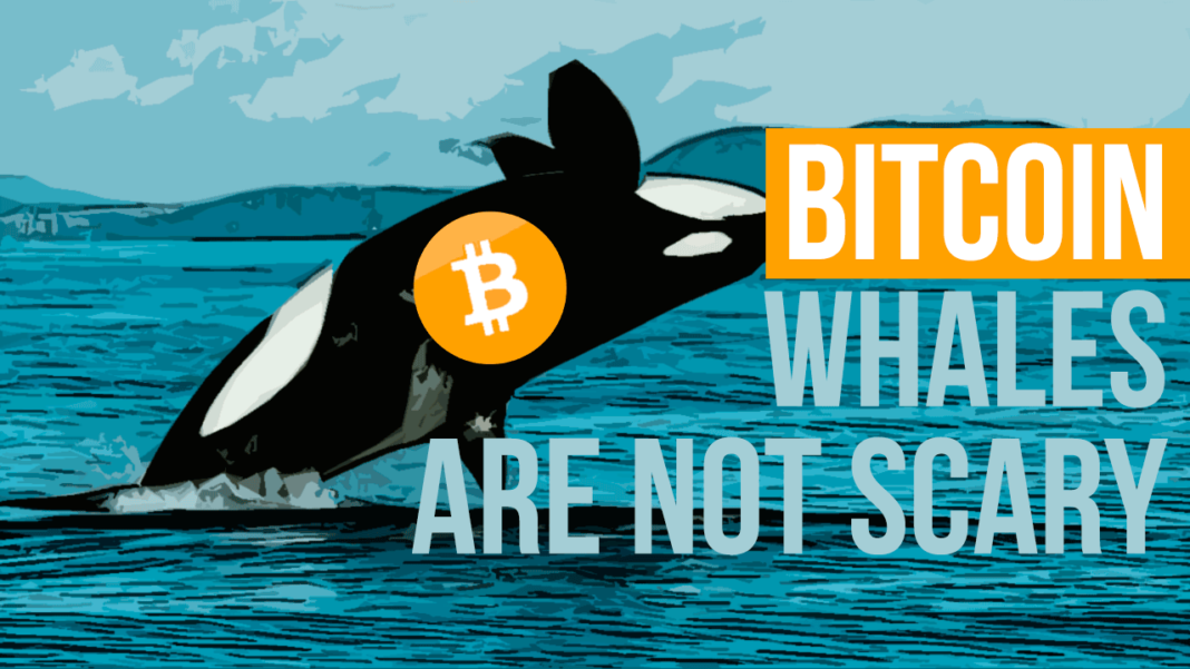 Bitcoin Whales Aren't That Scary