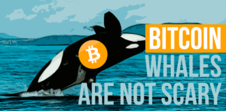 Bitcoin Whales Aren't That Scary