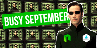 NEO's Busy September: New Tokens and Upgrades