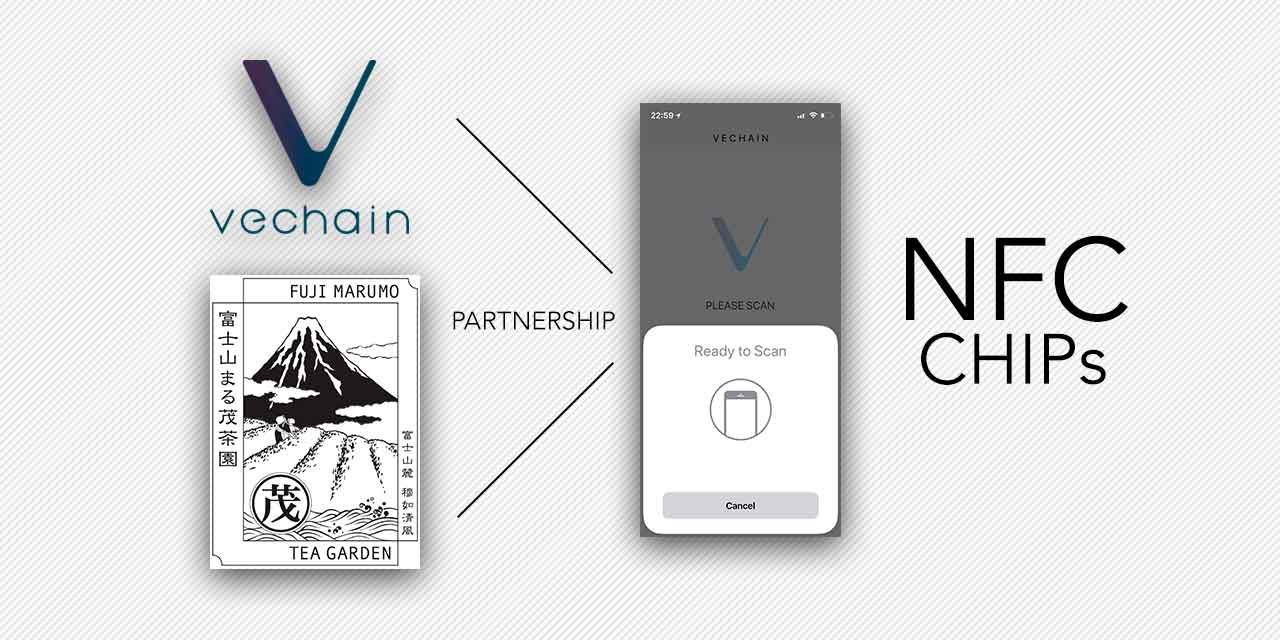 Vechain Fiji Marumo NFC chip Partnership