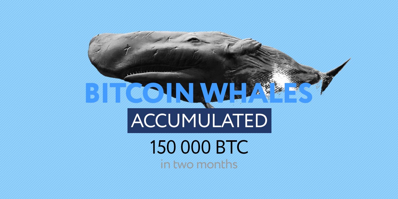 bitcoin whales accumulate  BTC