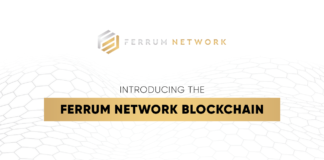 Ferrum Network