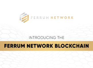 Ferrum Network