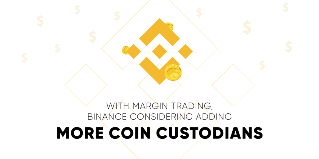 Binance coin custodians