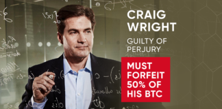 Craig Wirght perjury