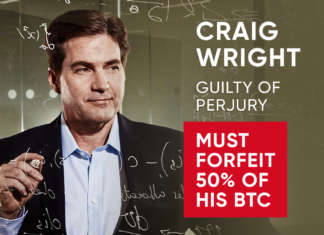 Craig Wirght perjury