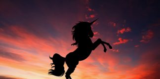 silhouette of a unicorn against twilight sky