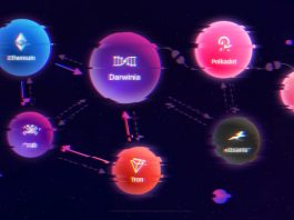 darwinia network