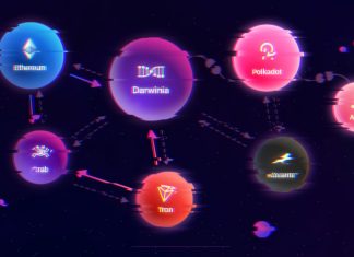 darwinia network