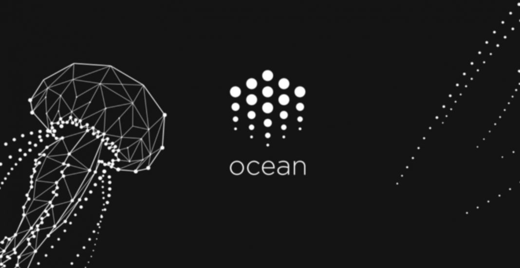 ocean protocol