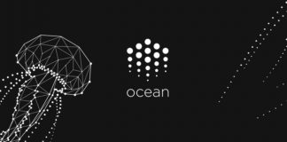 ocean protocol