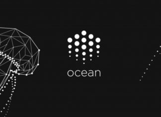 ocean protocol