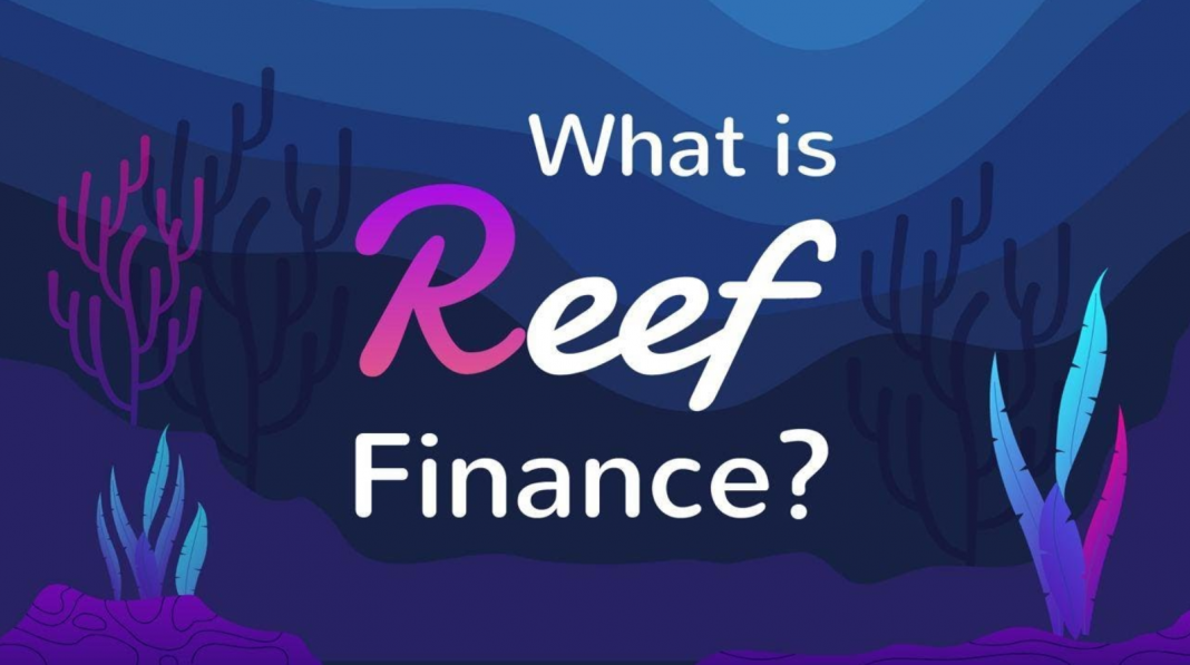 Reef Finance