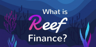 Reef Finance