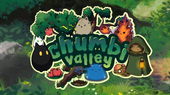 chumbi valley