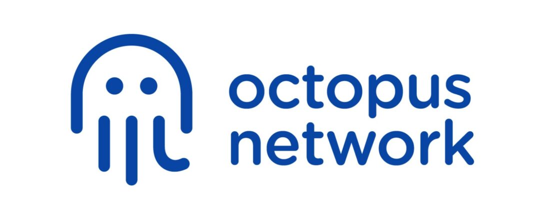 octopus network