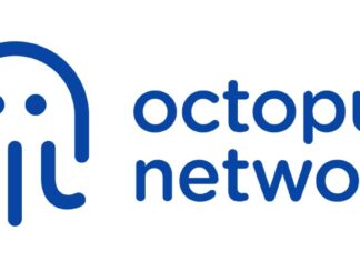 octopus network