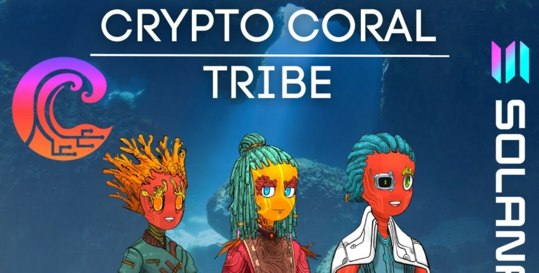 coral tribe