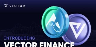 Vector Finance