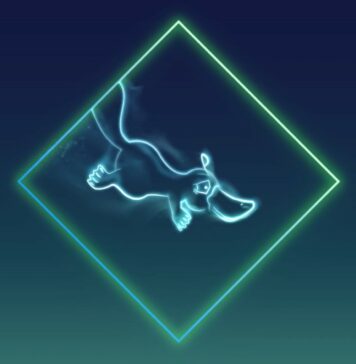 platypus finance