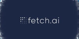 fetch ai