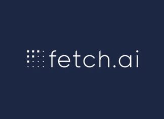 fetch ai