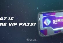 Gemie VIP Pass NFT