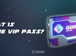 Gemie VIP Pass NFT