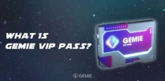 Gemie VIP Pass NFT