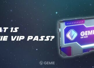 Gemie VIP Pass NFT