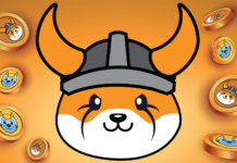 Floki Inu