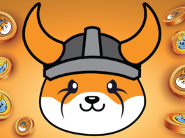 Floki Inu