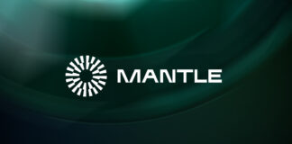 mantle network