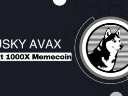 Husky Avax